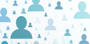 主な資格所有者数