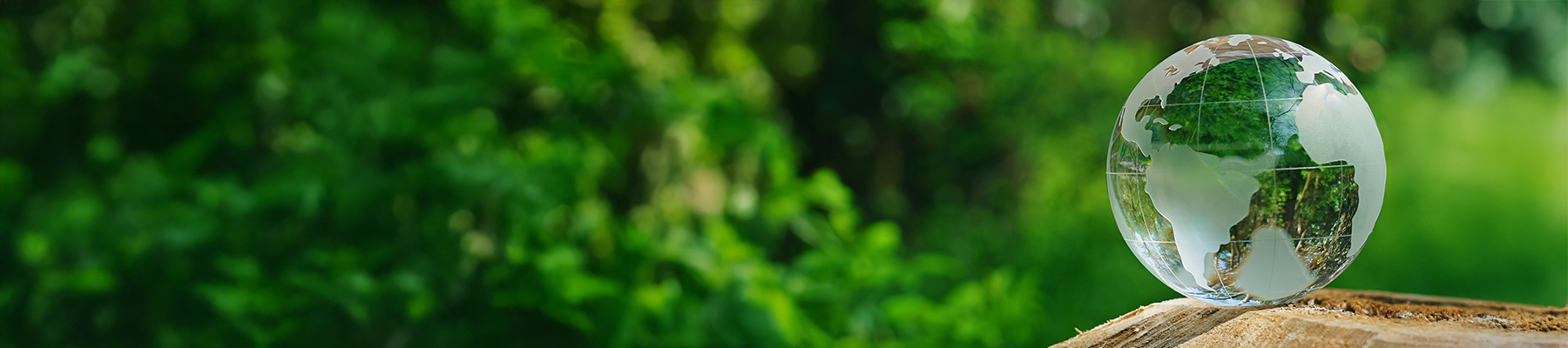 サステナビリティ