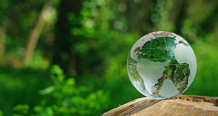 サステナビリティ